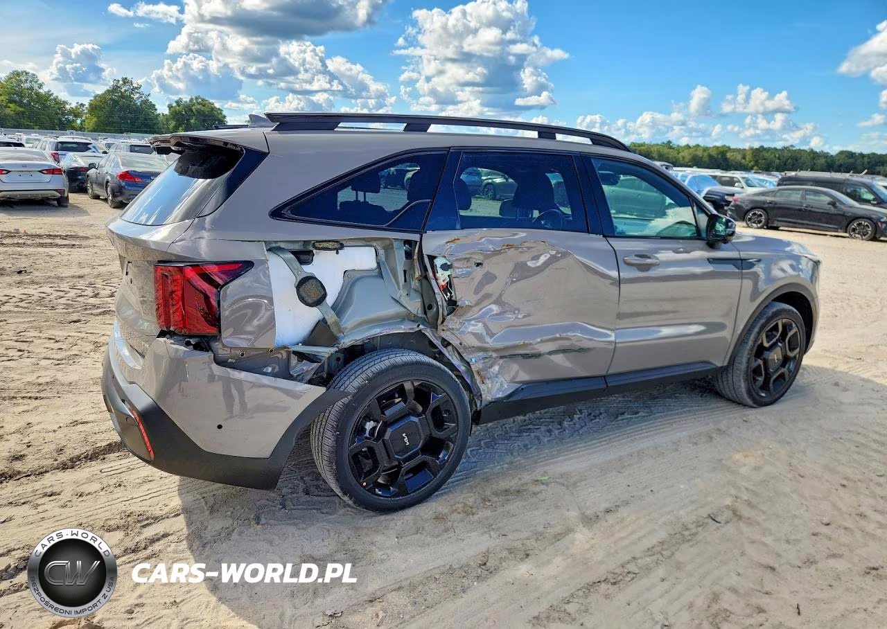 2024 Kia Sorento X-Line Sx Prestige VIN:5XYRKDJF9RG264613 - 3