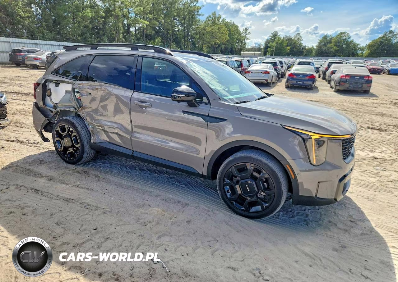 2024 Kia Sorento X-Line Sx Prestige VIN:5XYRKDJF9RG264613 - 4