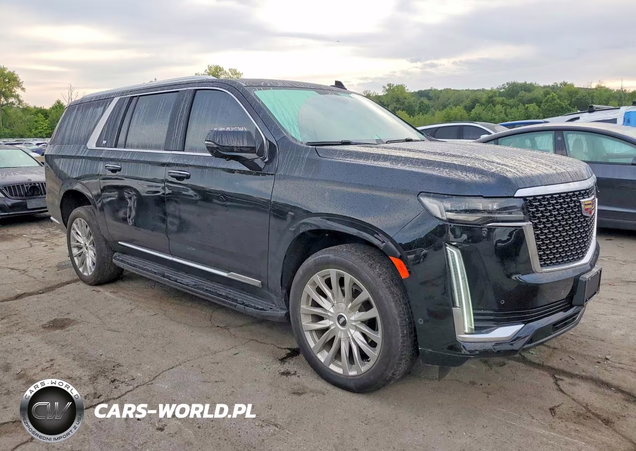 2024 Cadillac Escalade Esv Premium Luxury VIN:1GYS4KKL9RR196488 - 4