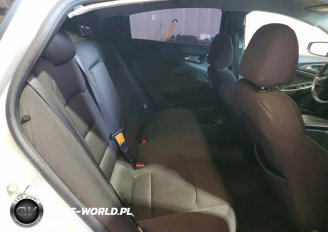 2019 Chevrolet Malibu Lt VIN:1G1ZD5ST9KF174612 - 10