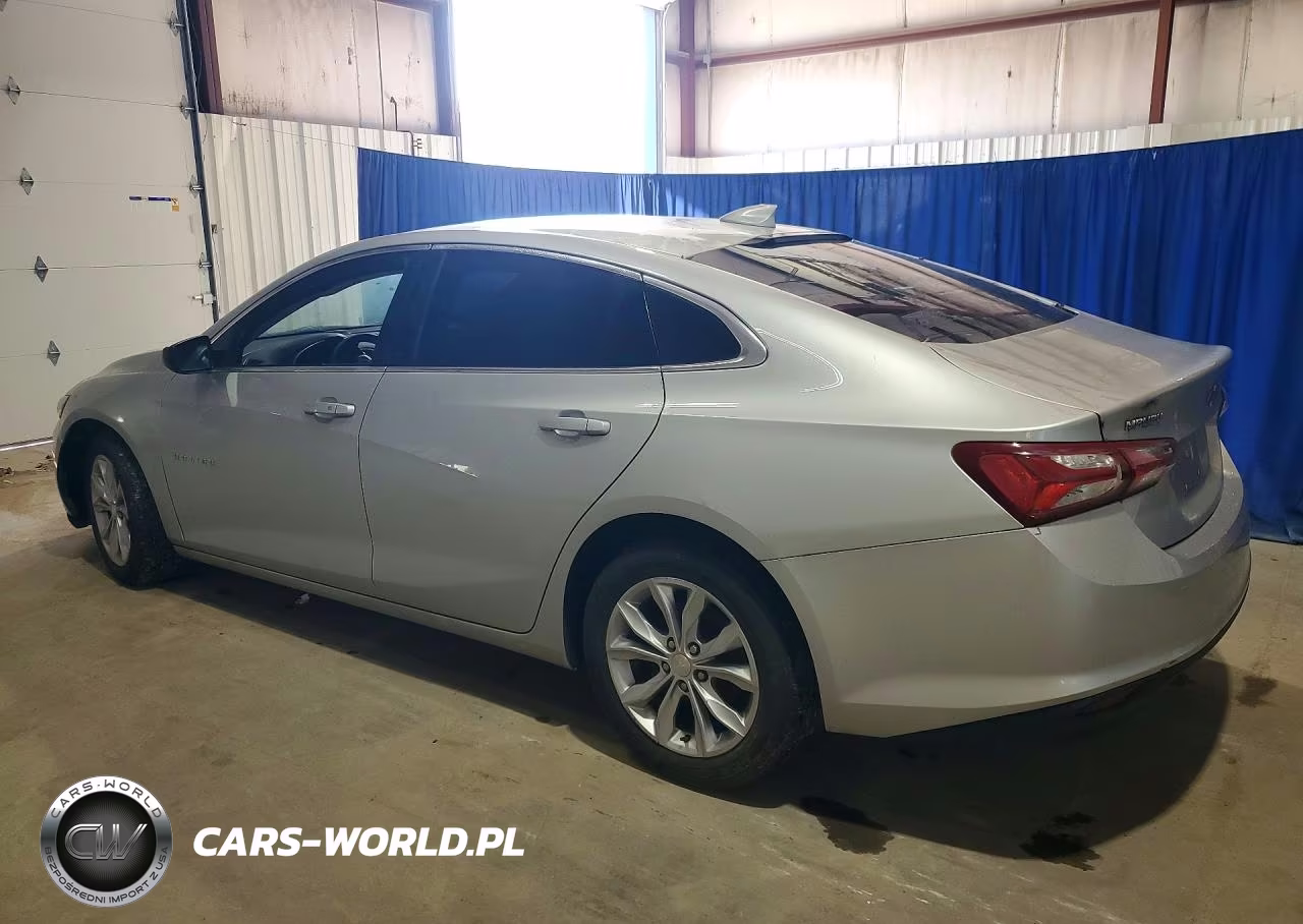 2019 Chevrolet Malibu Lt VIN:1G1ZD5ST9KF174612 - 2