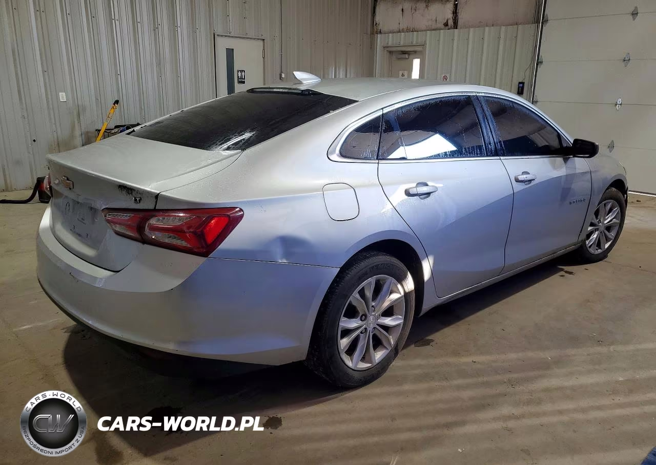 2019 Chevrolet Malibu Lt VIN:1G1ZD5ST9KF174612 - 3