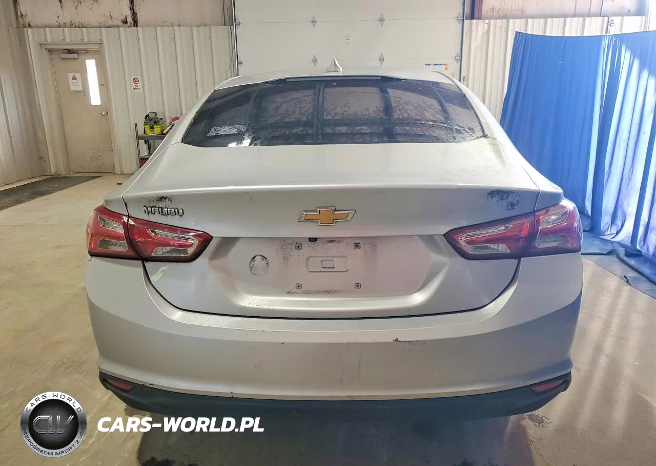 2019 Chevrolet Malibu Lt VIN:1G1ZD5ST9KF174612 - 6