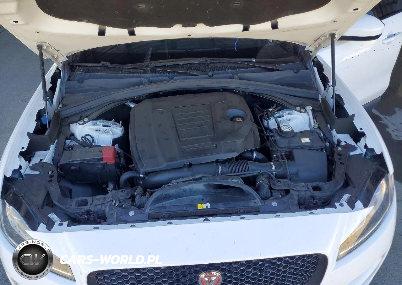 2019 Jaguar F-Pace Premium VIN:SADCJ2FX0KA602117 - 12