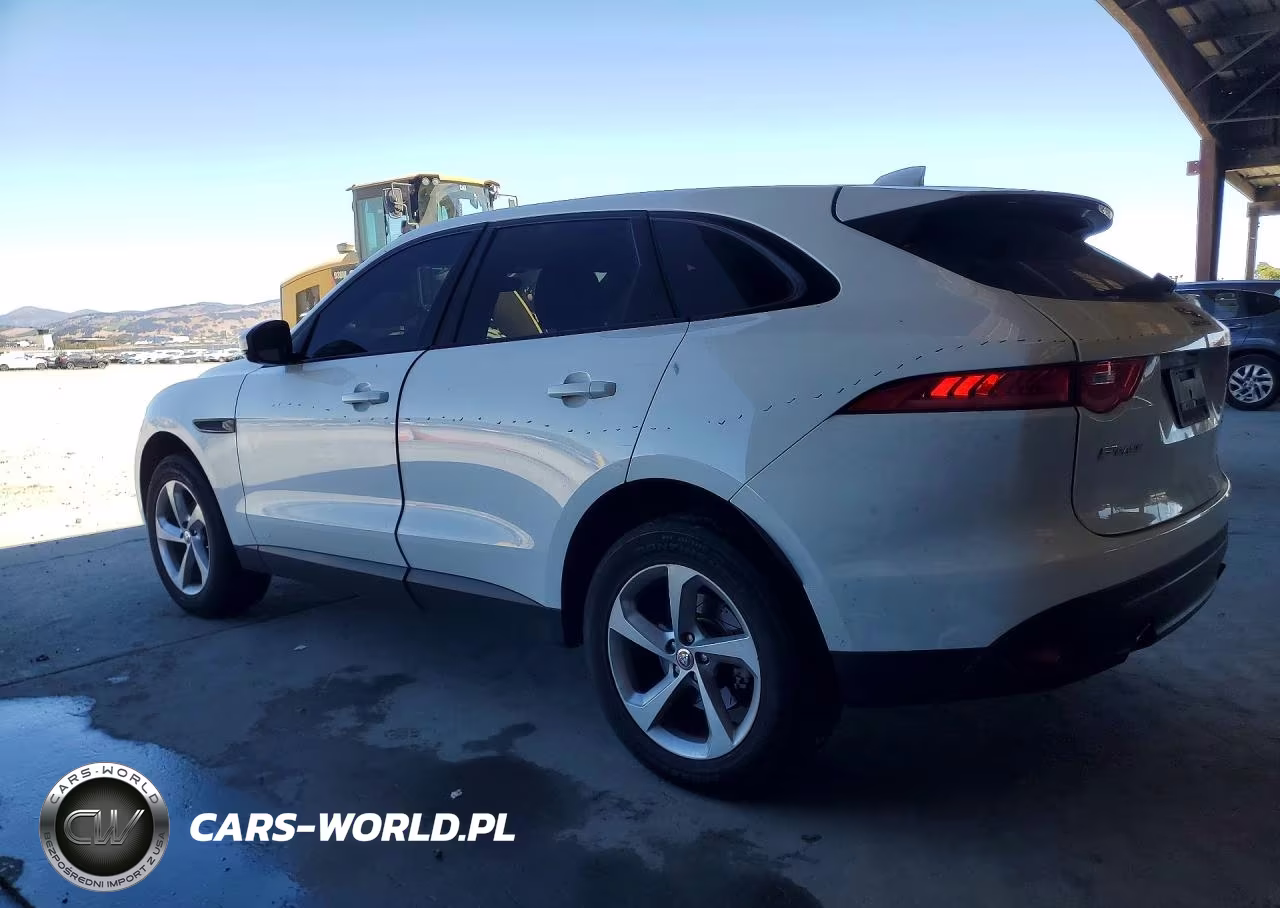 2019 Jaguar F-Pace Premium VIN:SADCJ2FX0KA602117 - 2
