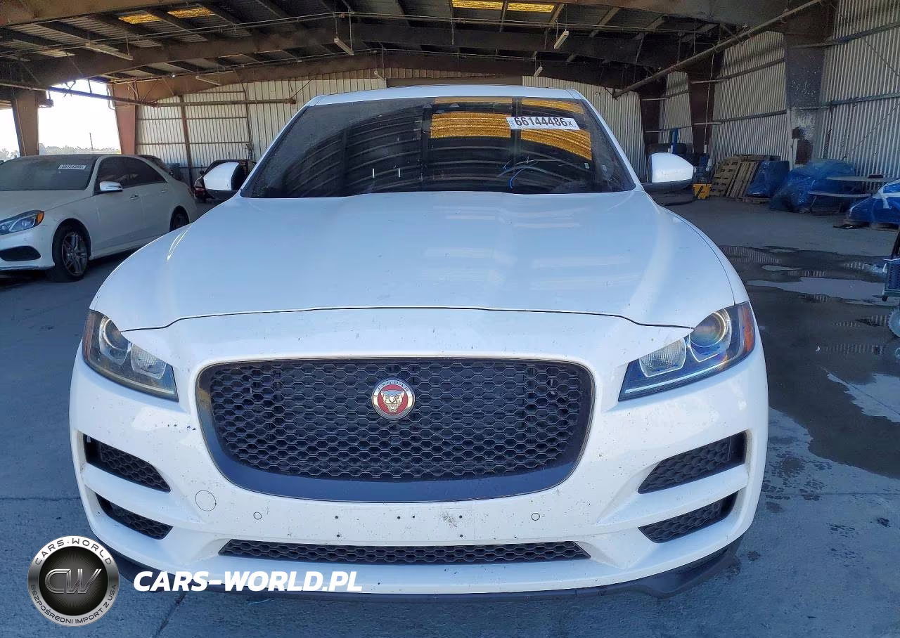 2019 Jaguar F-Pace Premium VIN:SADCJ2FX0KA602117 - 5