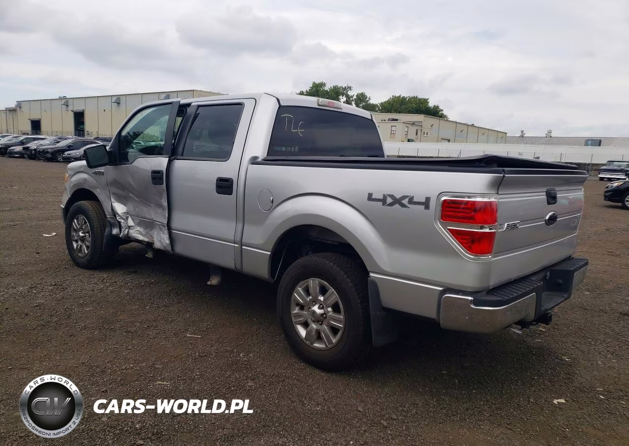2009 Ford F150 Supercrew VIN:1FTRW148X9FA94975 - 2