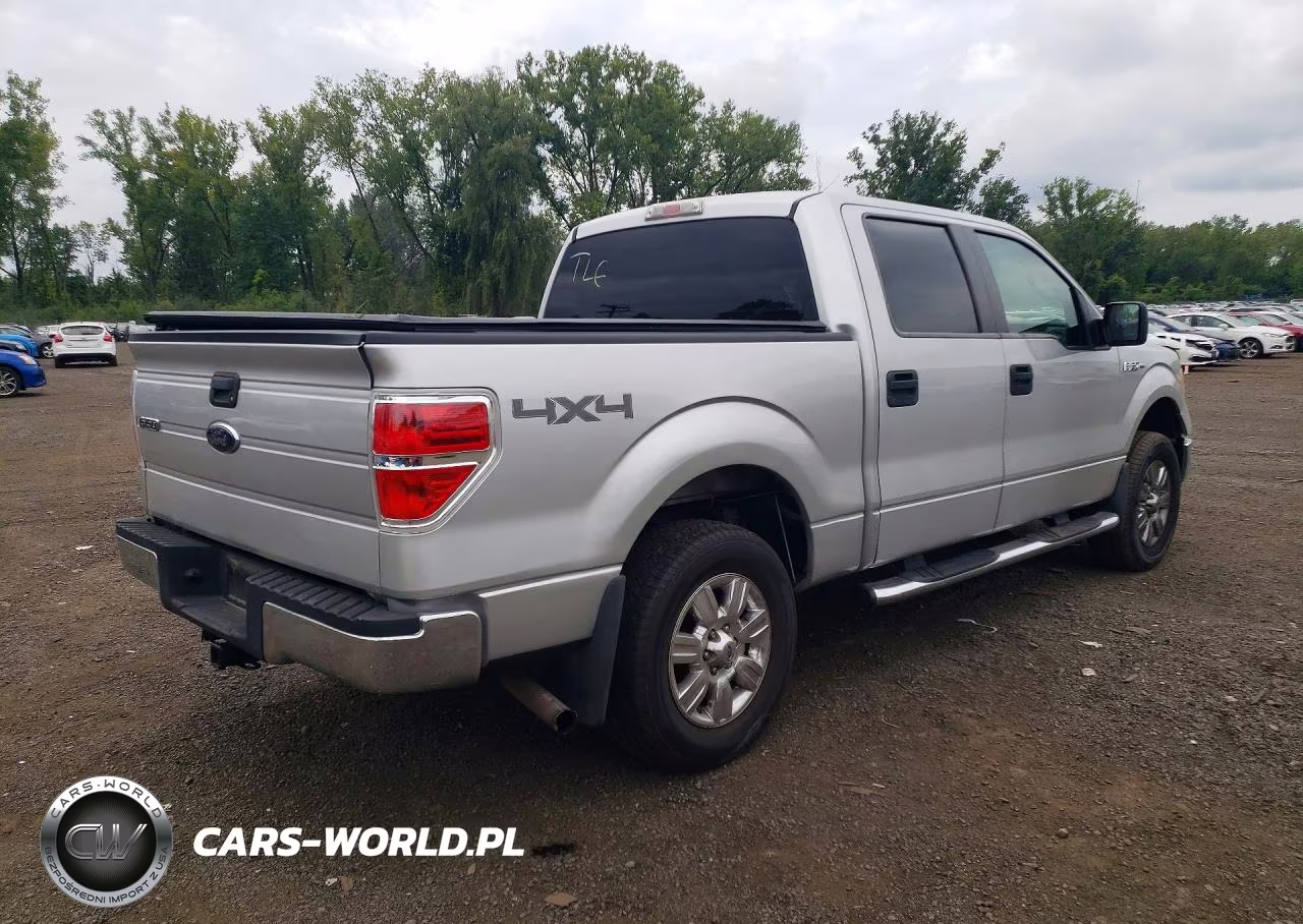 2009 Ford F150 Supercrew VIN:1FTRW148X9FA94975 - 3