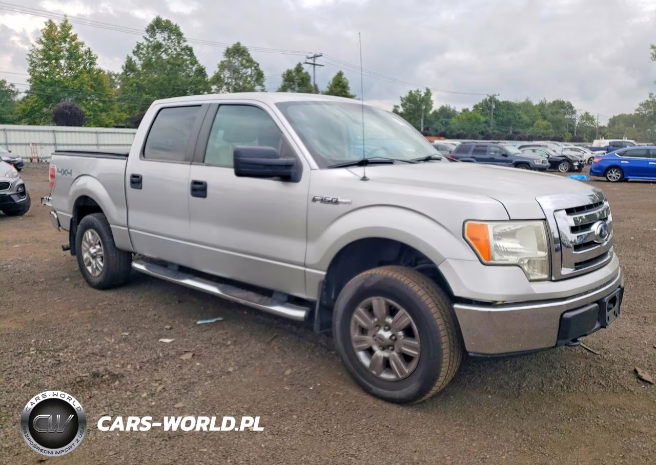 2009 Ford F150 Supercrew VIN:1FTRW148X9FA94975 - 4