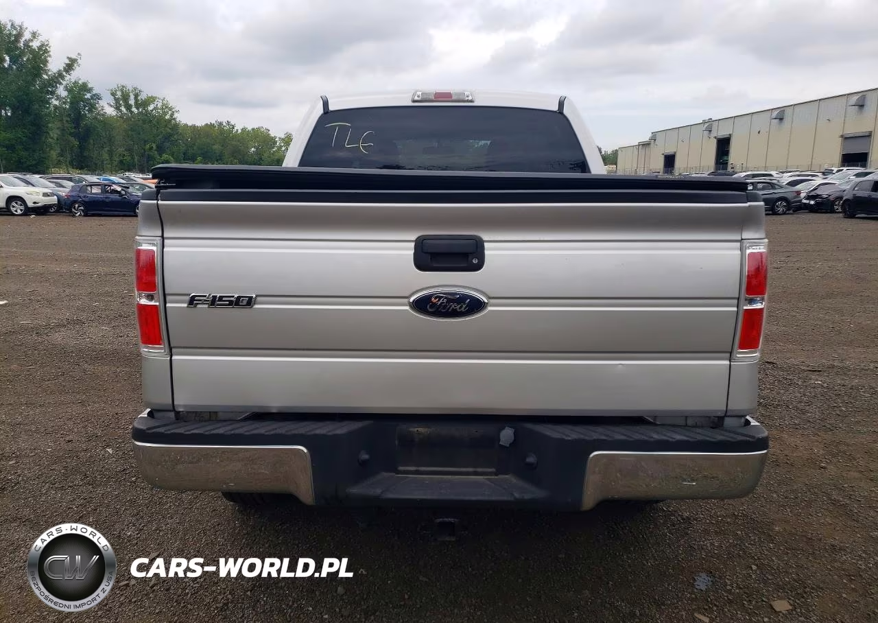 2009 Ford F150 Supercrew VIN:1FTRW148X9FA94975 - 6