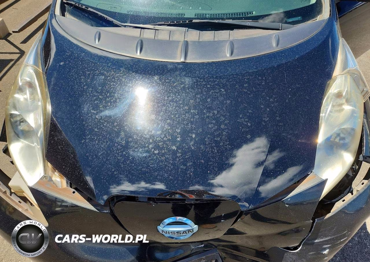 2014 Nissan Leaf S VIN:1N4AZ0CP0EC331031 - 11