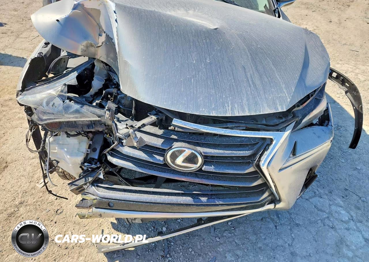 2015 Lexus Nx 200T VIN:JTJBARBZ0F2000743 - 12