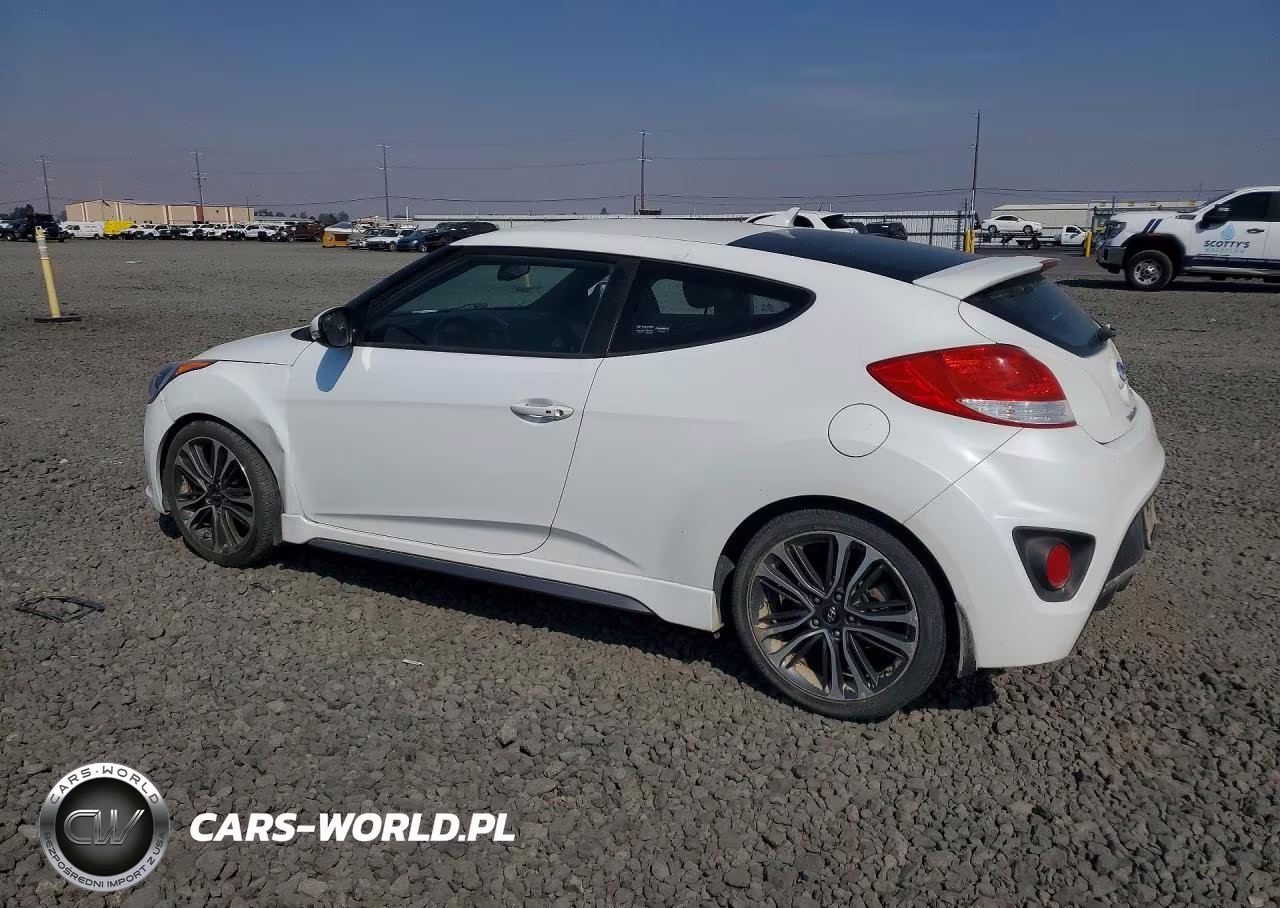 2016 Hyundai Veloster Turbo VIN:KMHTC6AEXGU265671 - 2