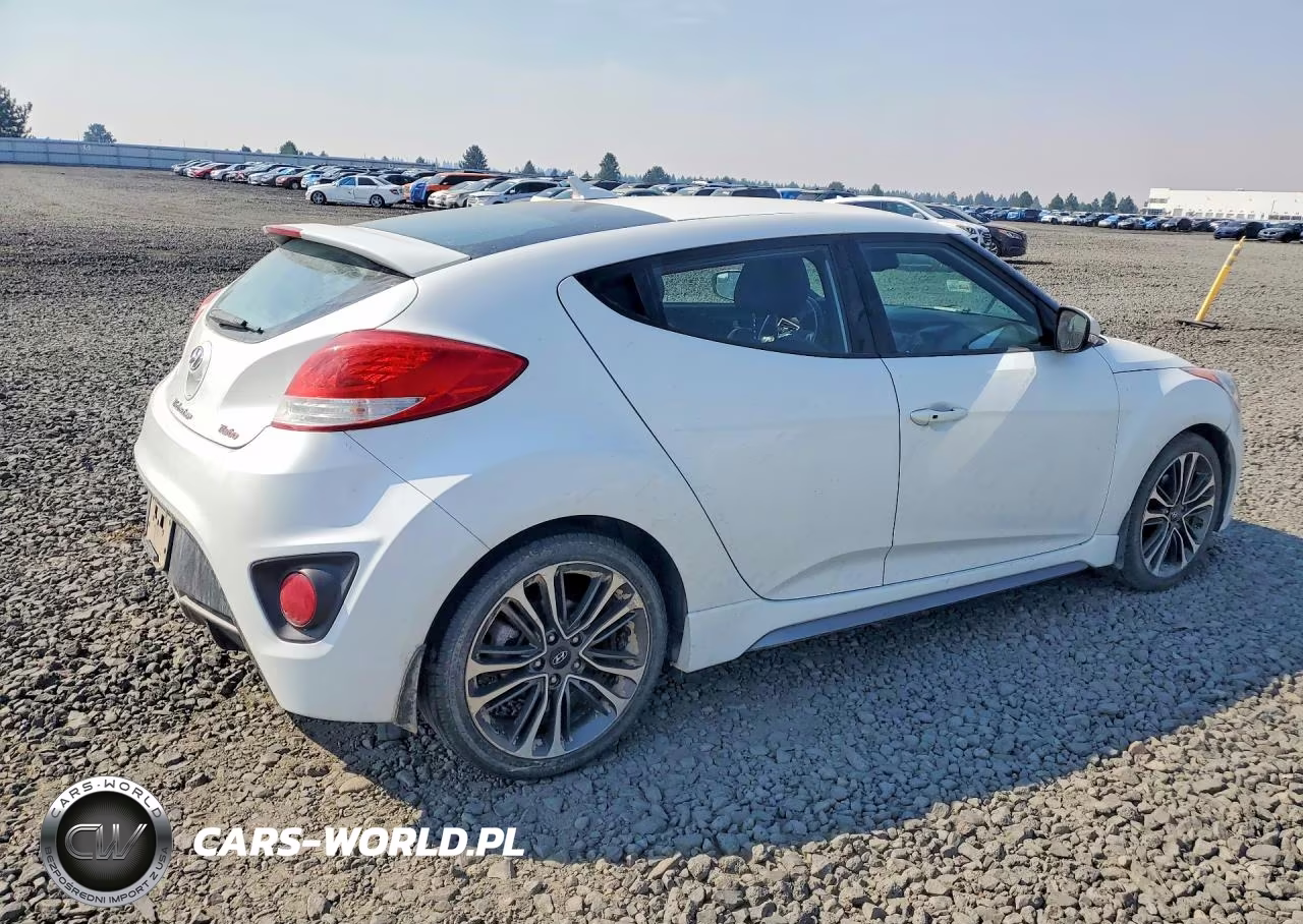 2016 Hyundai Veloster Turbo VIN:KMHTC6AEXGU265671 - 3