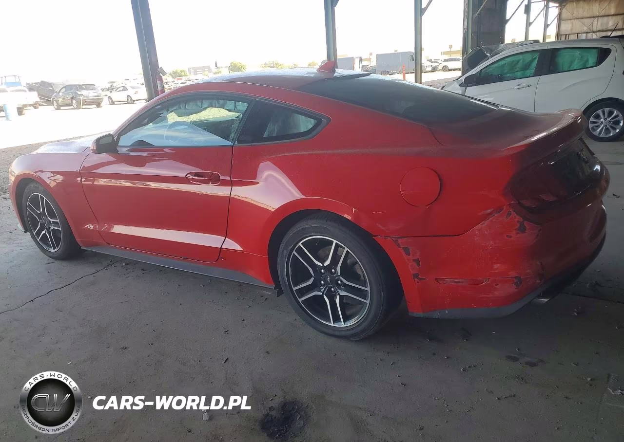 2023 Ford Mustang VIN:1FA6P8TH8P5103756 - 2