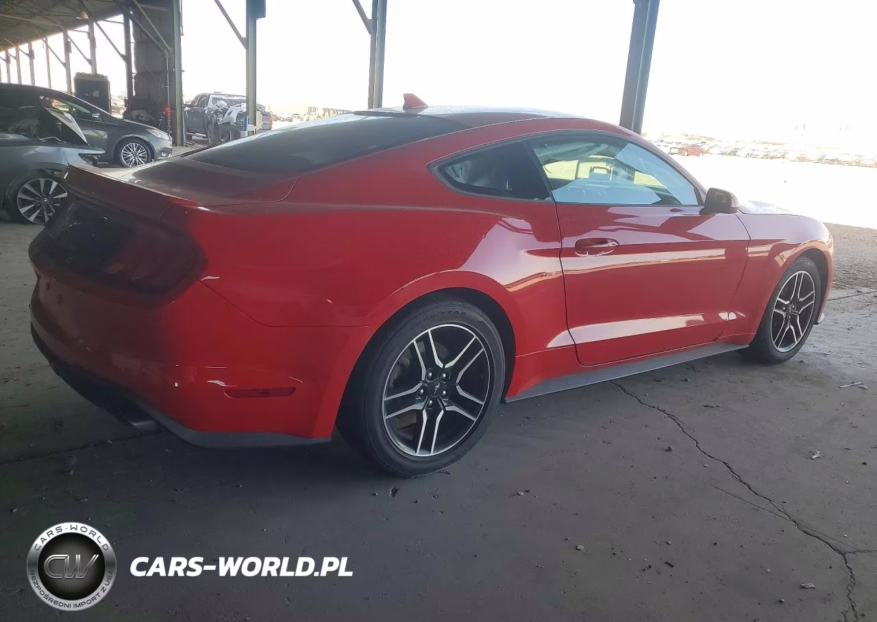 2023 Ford Mustang VIN:1FA6P8TH8P5103756 - 3