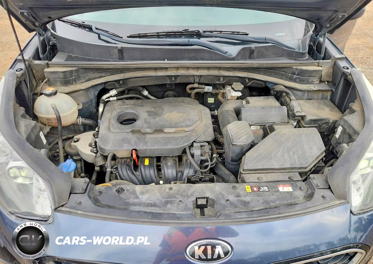 2021 Kia Sportage Lx VIN:KNDPM3AC6M7903814 - 12