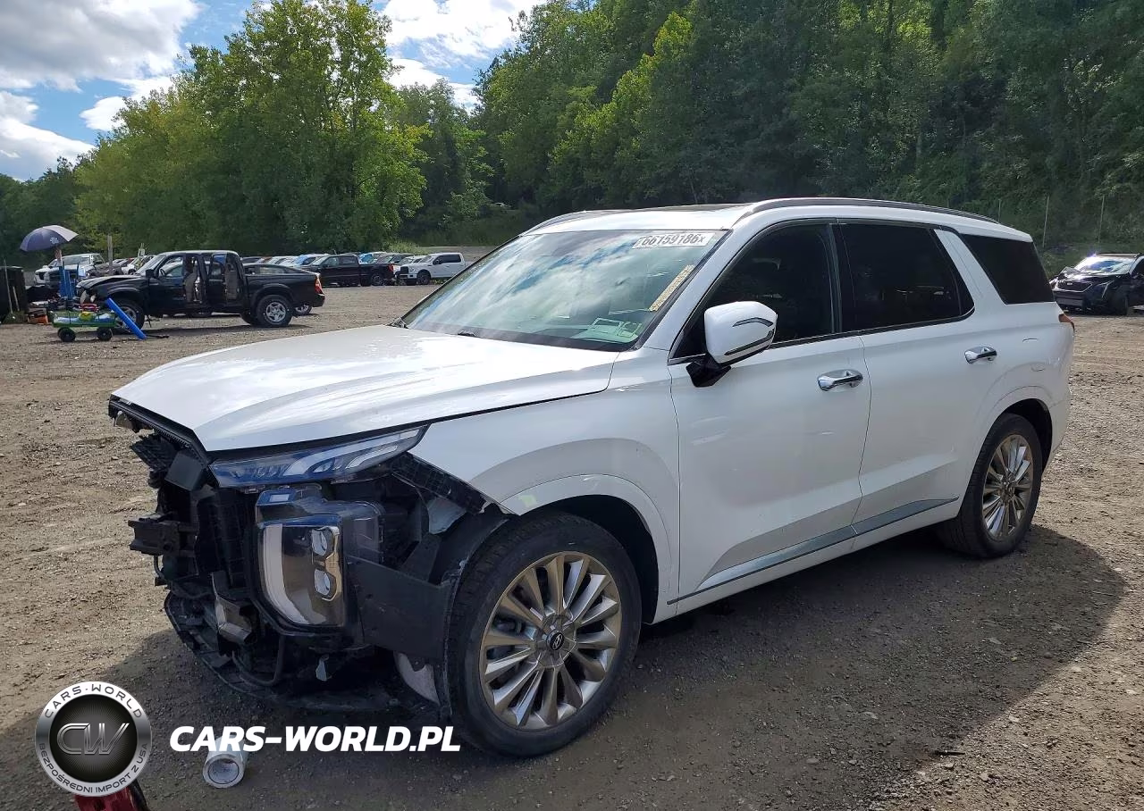 2020 Hyundai Palisade Limited VIN:KM8R5DHE7LU142838 - 1