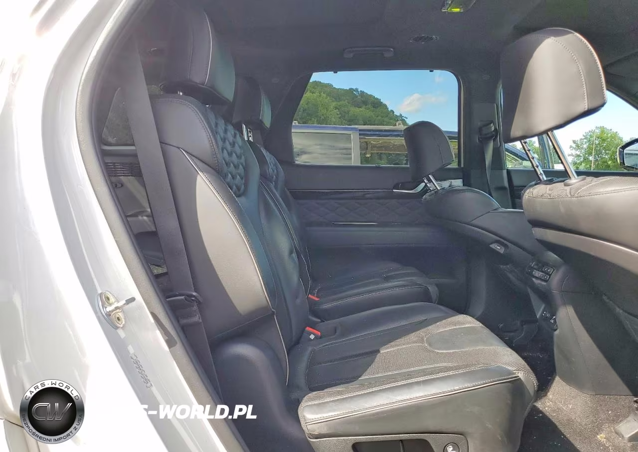 2020 Hyundai Palisade Limited VIN:KM8R5DHE7LU142838 - 11