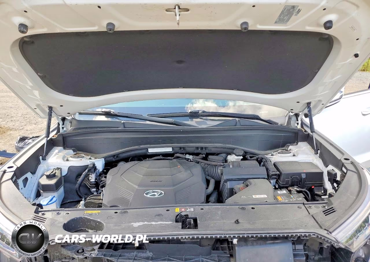 2020 Hyundai Palisade Limited VIN:KM8R5DHE7LU142838 - 12