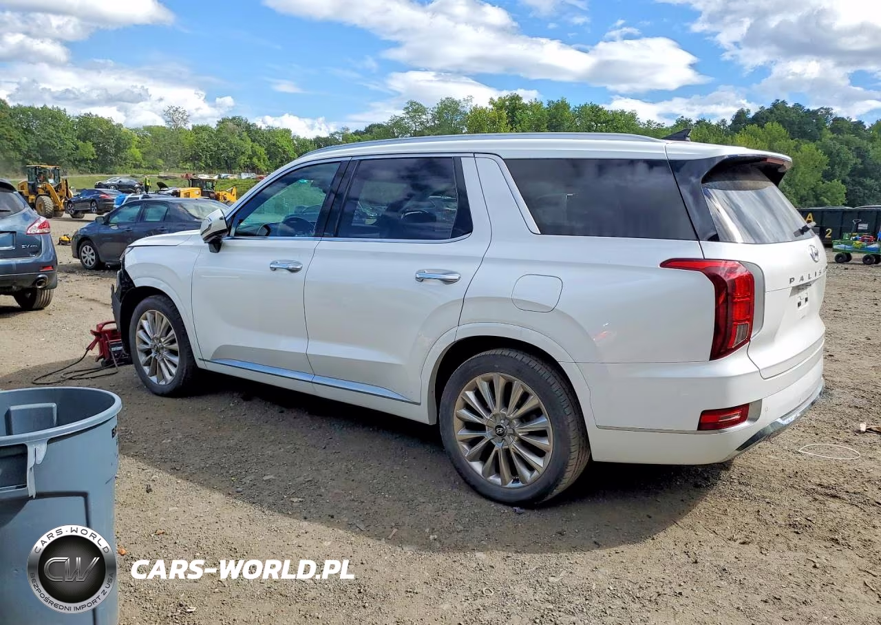 2020 Hyundai Palisade Limited VIN:KM8R5DHE7LU142838 - 2