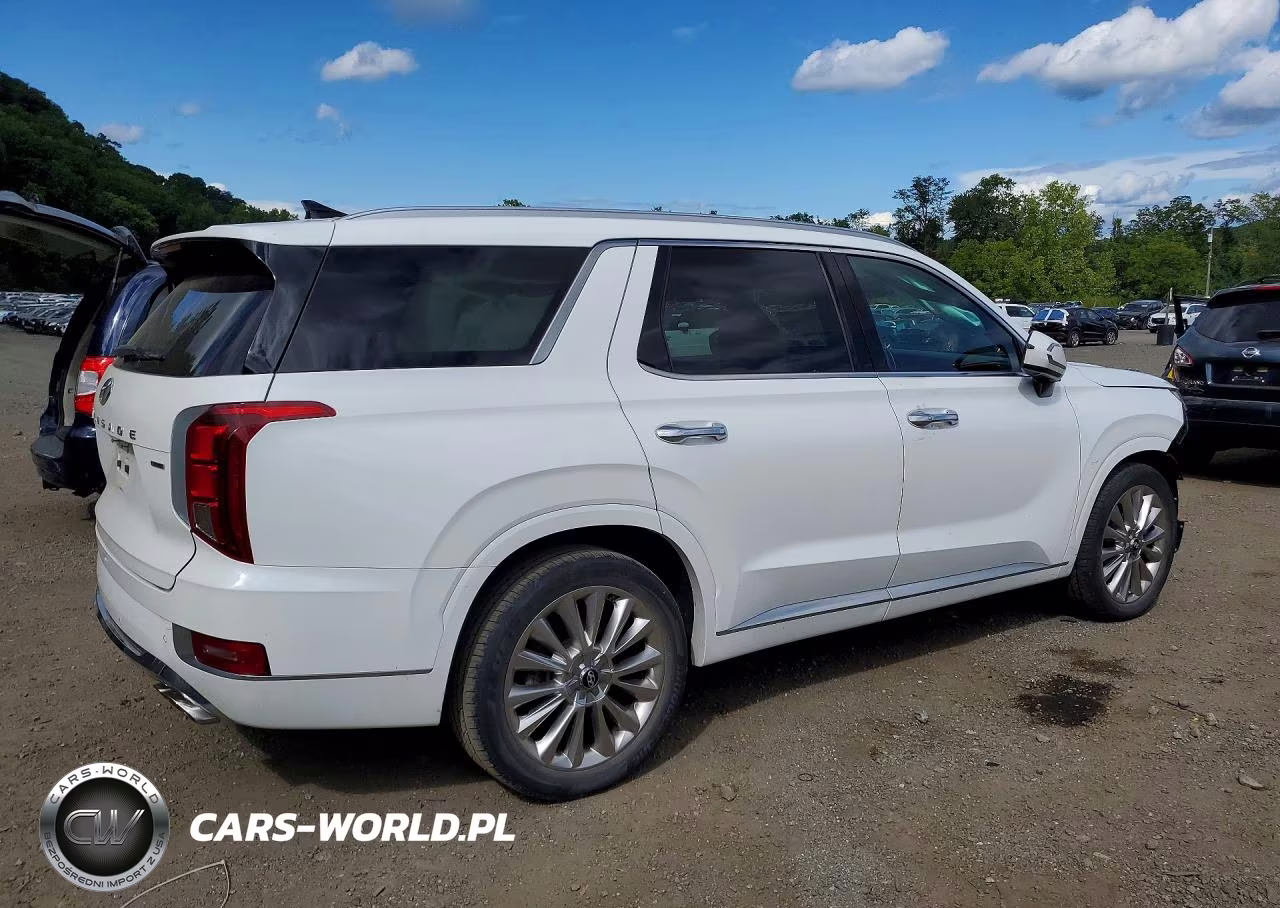 2020 Hyundai Palisade Limited VIN:KM8R5DHE7LU142838 - 3