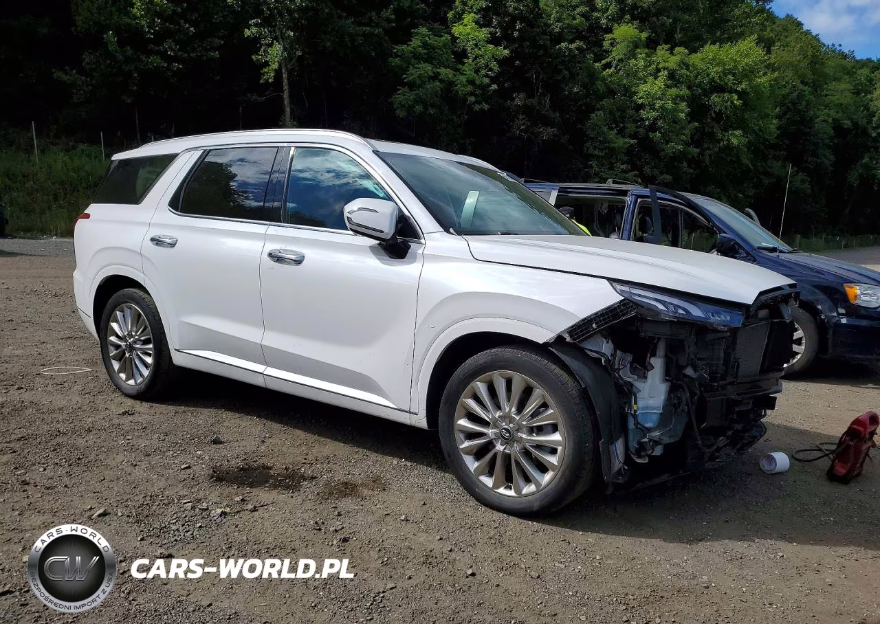 2020 Hyundai Palisade Limited VIN:KM8R5DHE7LU142838 - 4