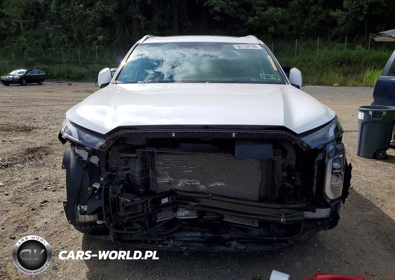 2020 Hyundai Palisade Limited VIN:KM8R5DHE7LU142838 - 5