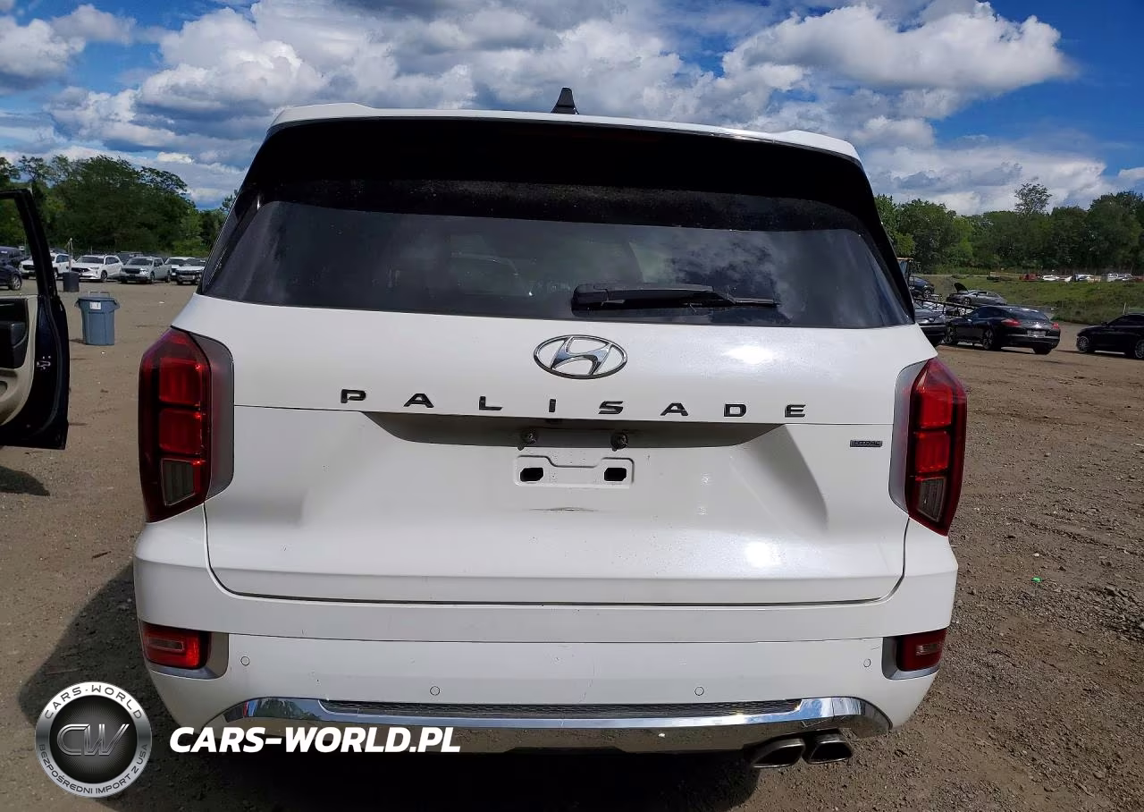 2020 Hyundai Palisade Limited VIN:KM8R5DHE7LU142838 - 6