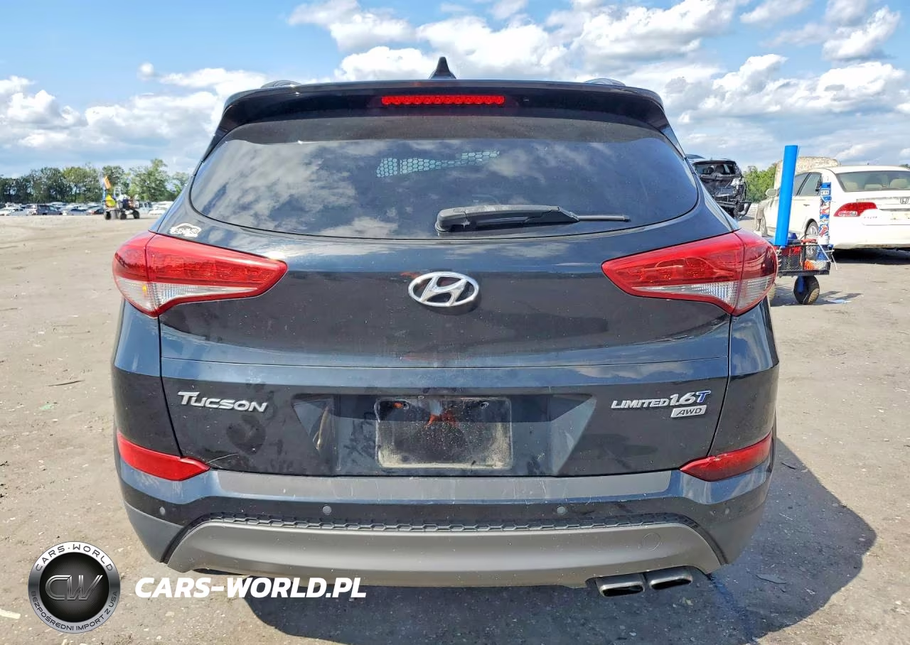 2016 Hyundai Tucson Limited VIN:KM8J3CA22GU133290 - 6