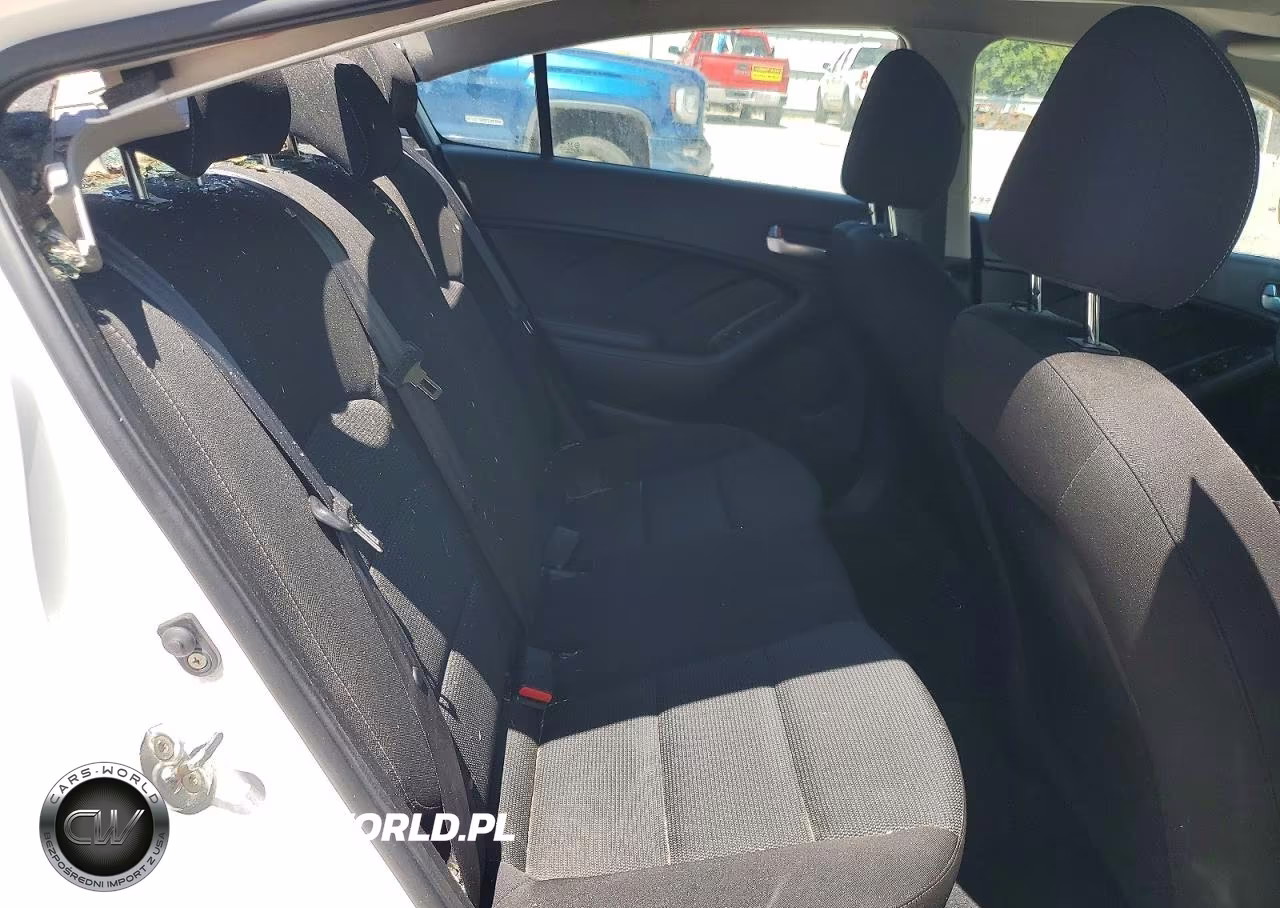 2018 Kia Forte Lx VIN:3KPFK4A73JE231619 - 10