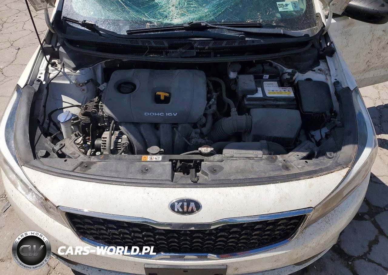 2018 Kia Forte Lx VIN:3KPFK4A73JE231619 - 11