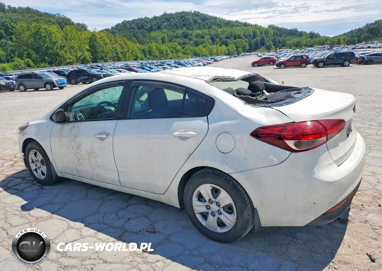 2018 Kia Forte Lx VIN:3KPFK4A73JE231619 - 2