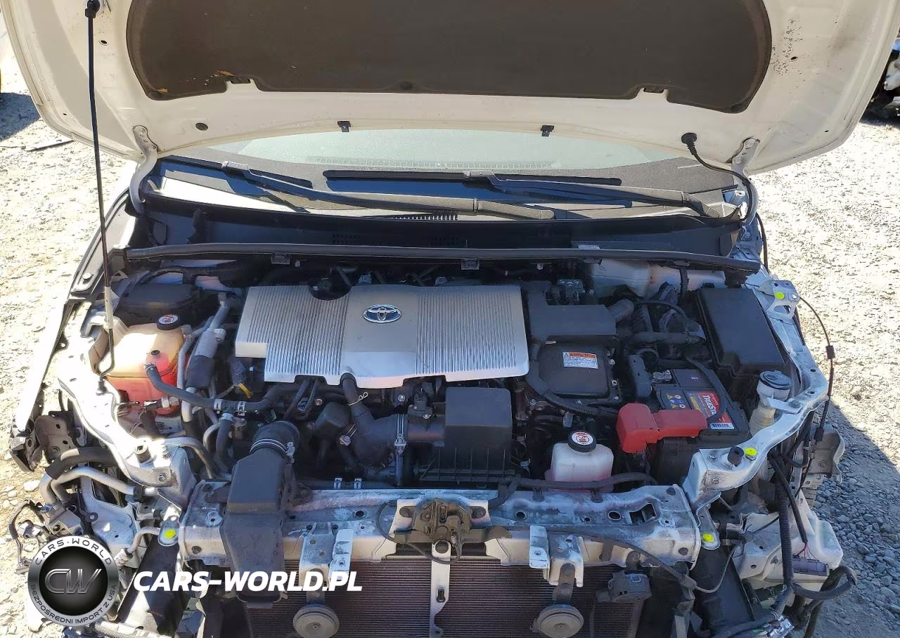 2019 Toyt Prius Prim VIN:JTDKARFP9K3116362 - 11