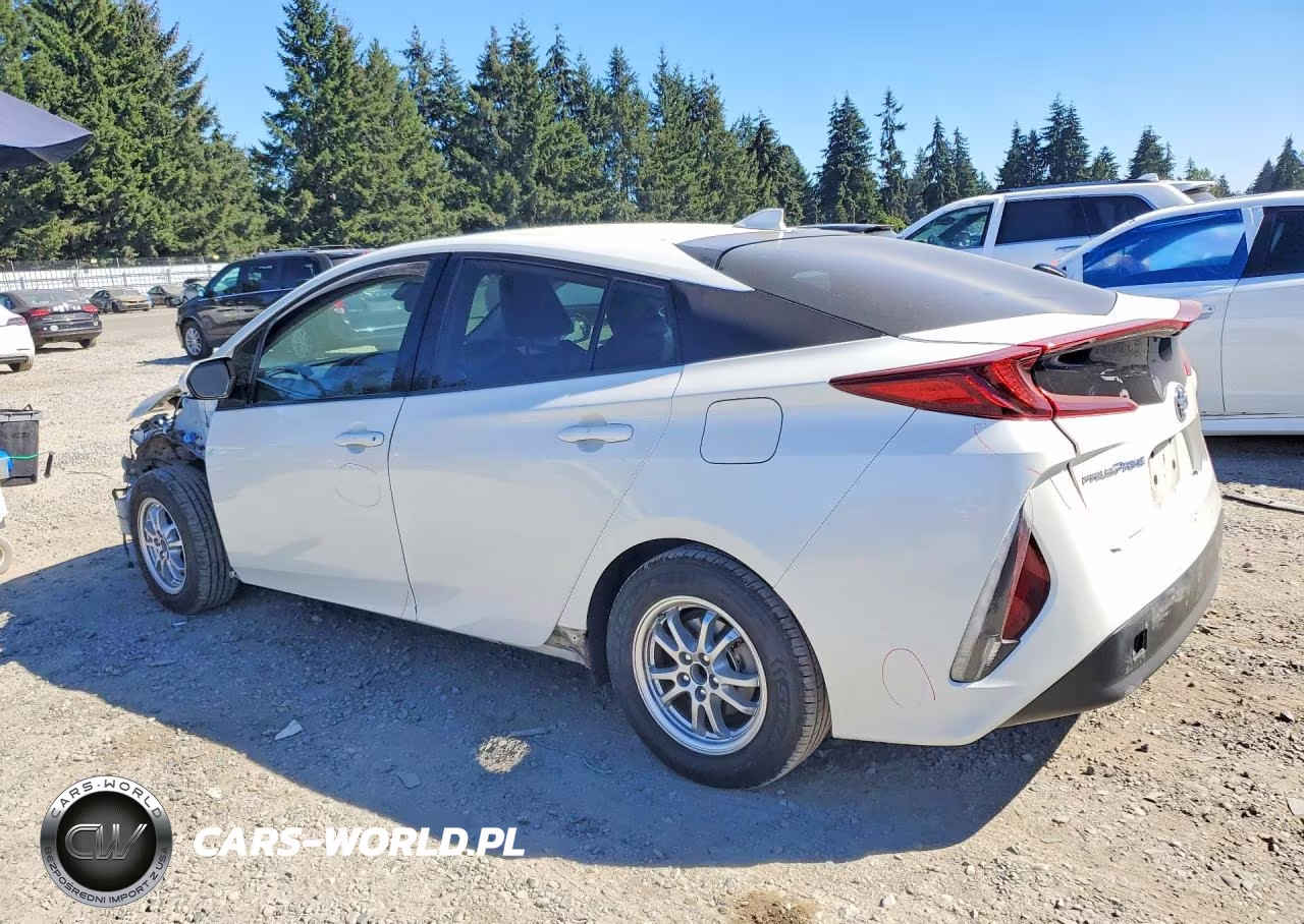 2019 Toyt Prius Prim VIN:JTDKARFP9K3116362 - 2
