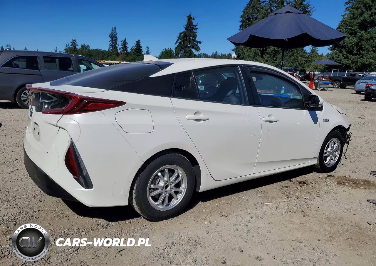 2019 Toyt Prius Prim VIN:JTDKARFP9K3116362 - 3