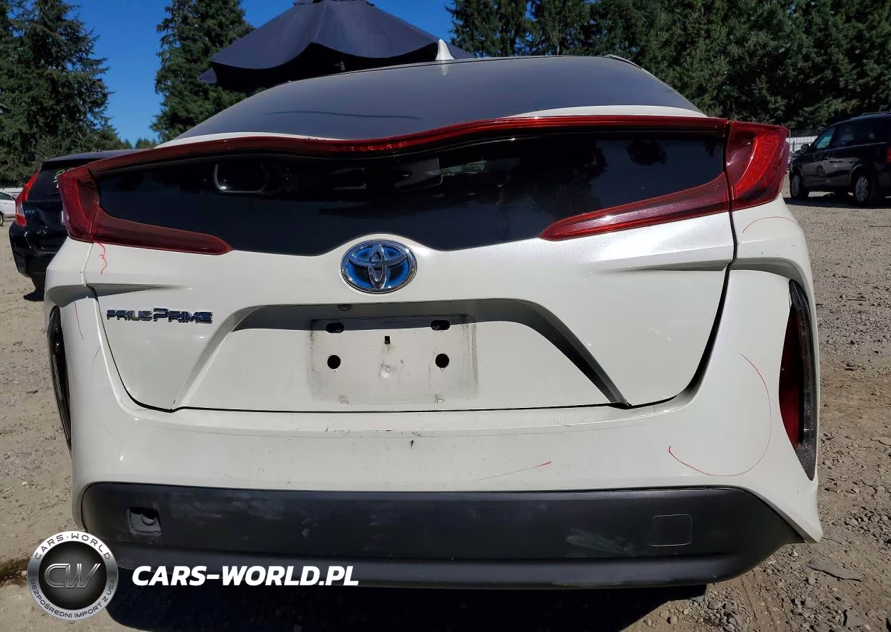 2019 Toyt Prius Prim VIN:JTDKARFP9K3116362 - 6