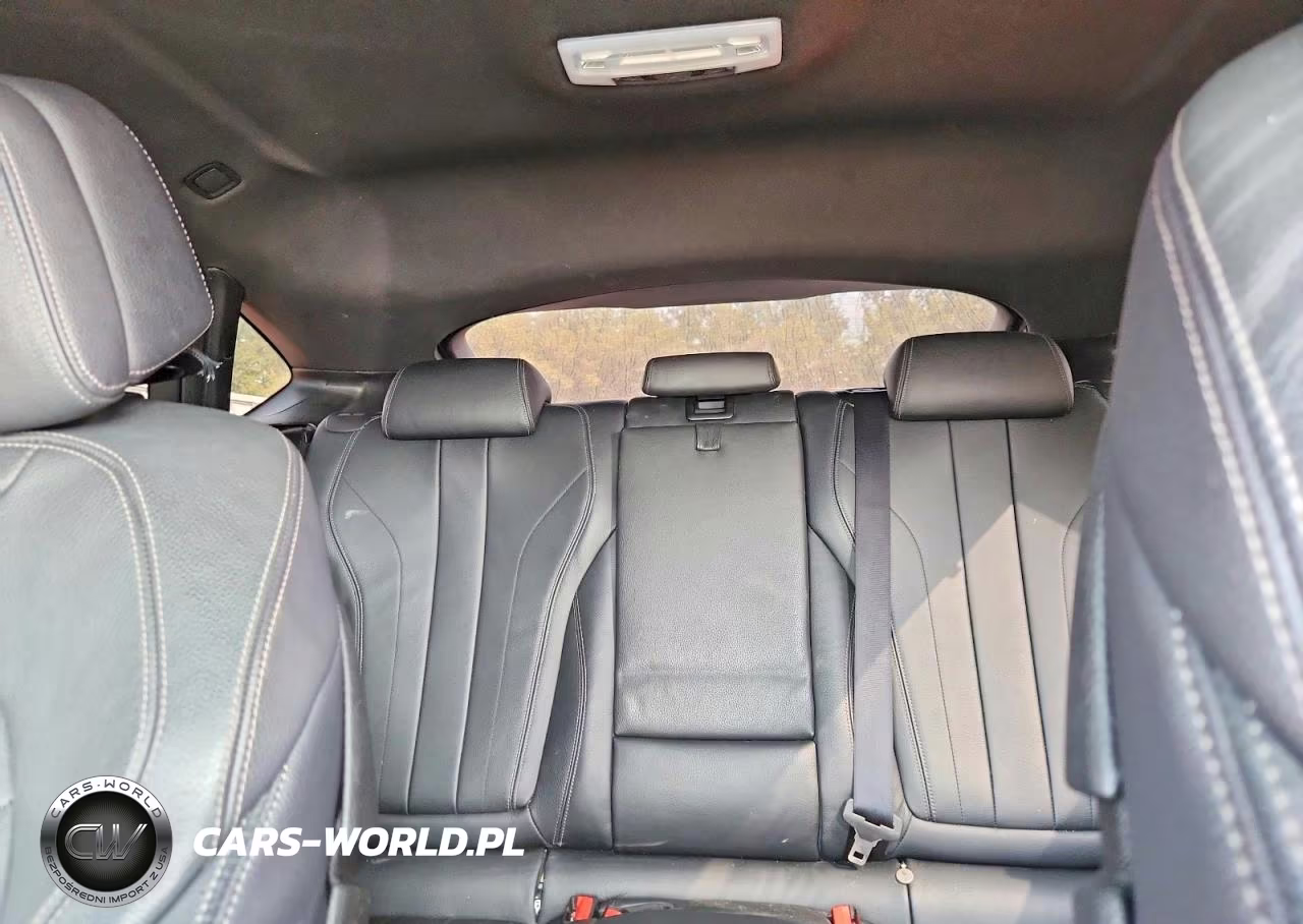 2017 BMW X6 xDrive50I VIN:5UXKU6C32H0S99779 - 10