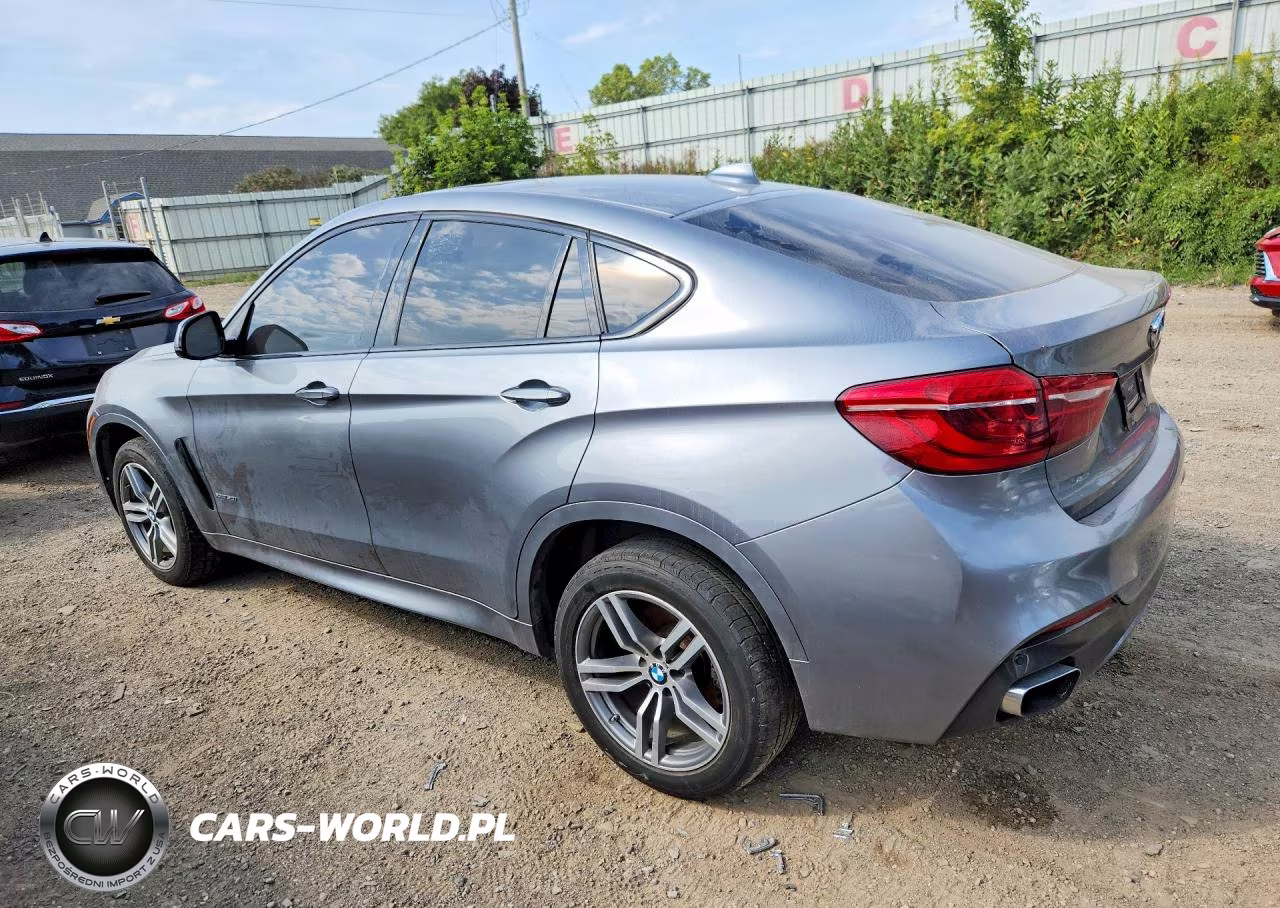 2017 BMW X6 xDrive50I VIN:5UXKU6C32H0S99779 - 2