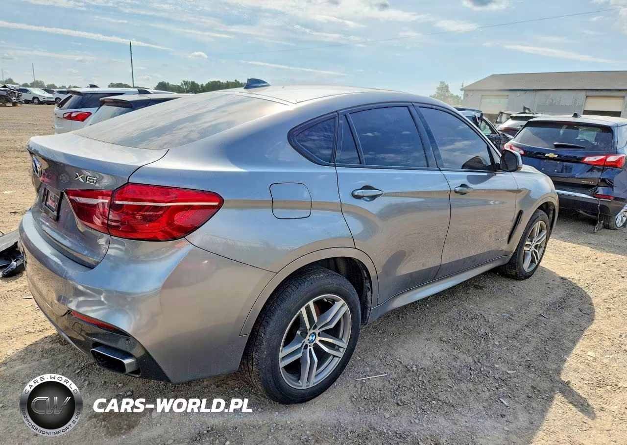 2017 BMW X6 xDrive50I VIN:5UXKU6C32H0S99779 - 3