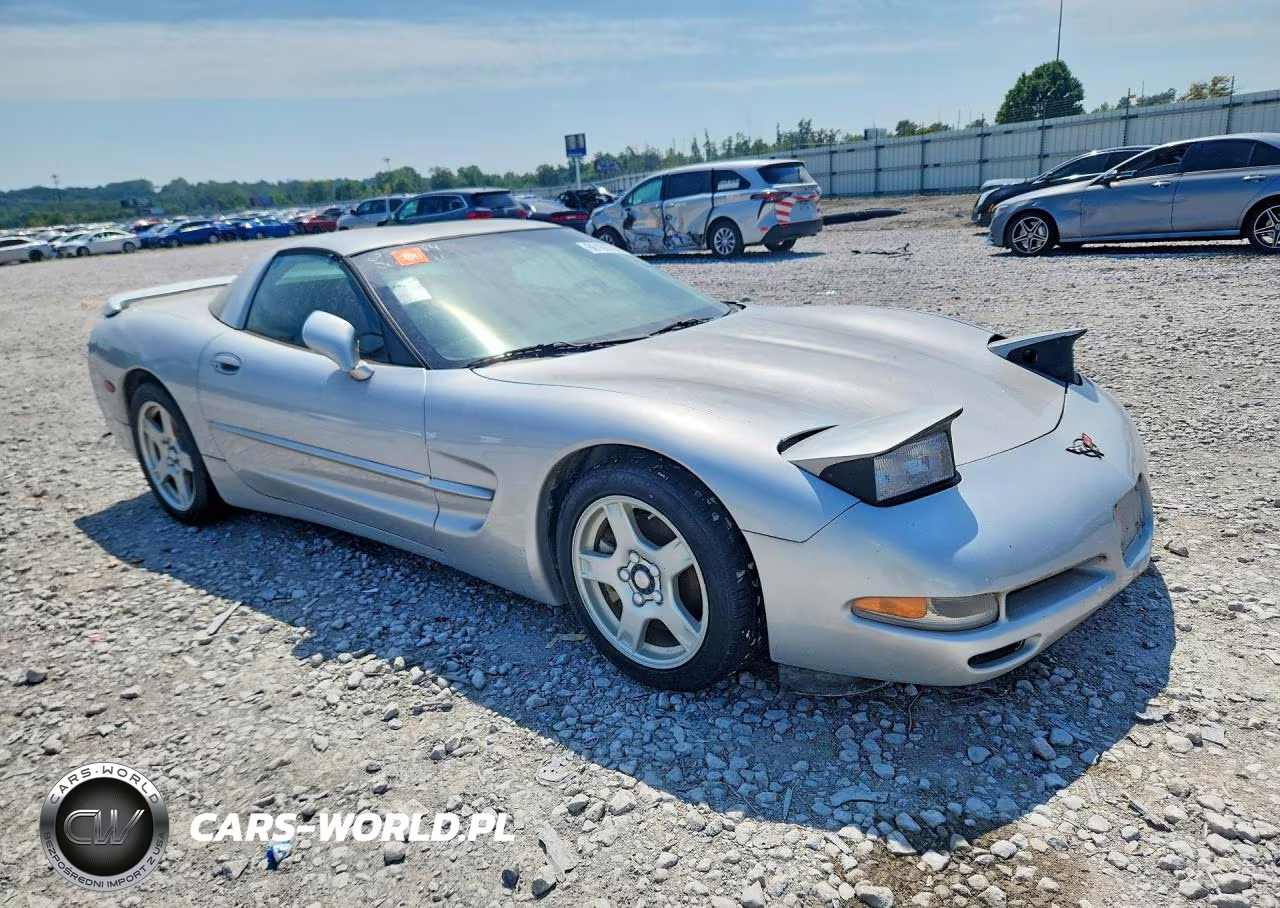 1998 Chevrolet Corvette VIN:1G1YY22G3W5106139 - 4