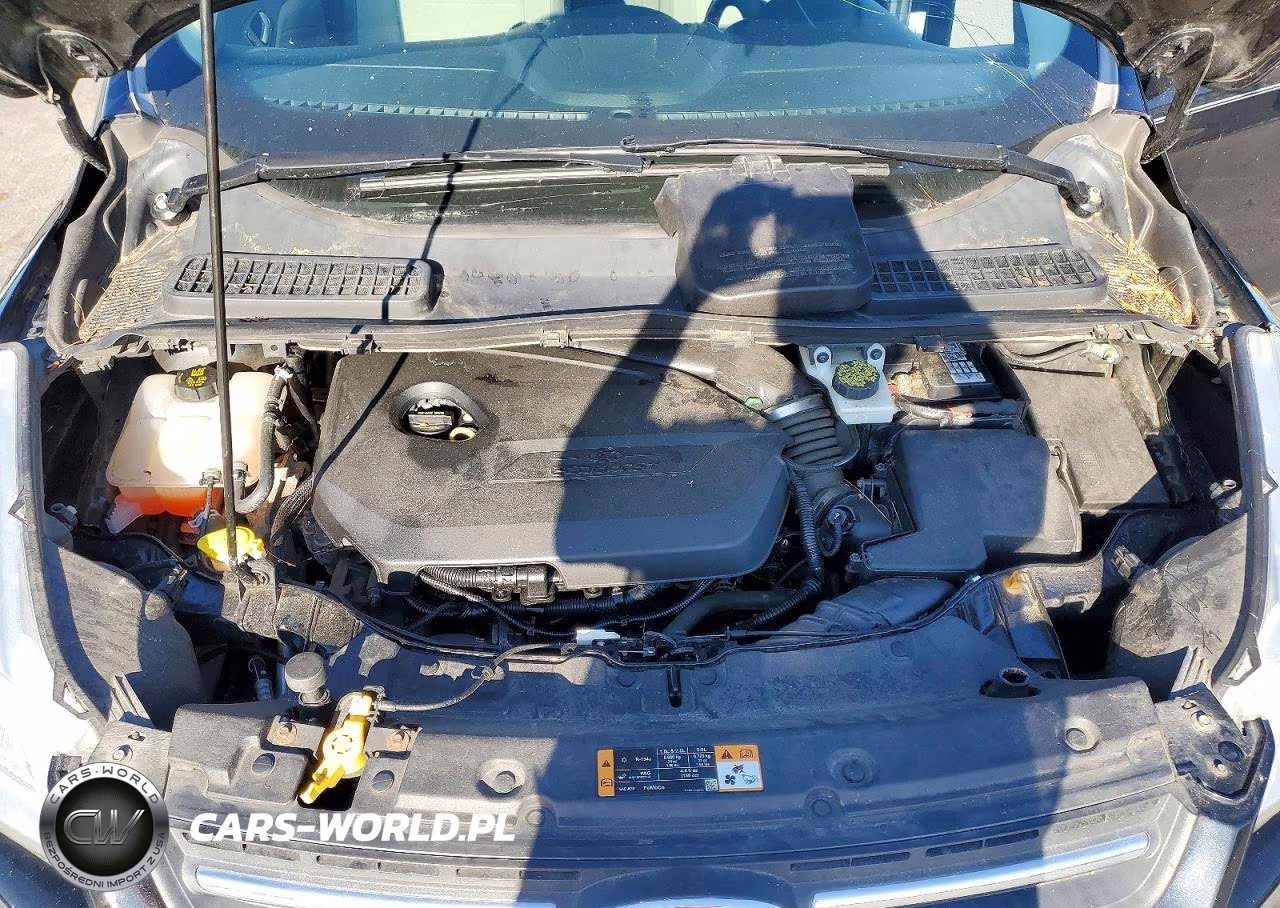 2014 Ford Escape Se VIN:1FMCU9GX2EUA94547 - 11