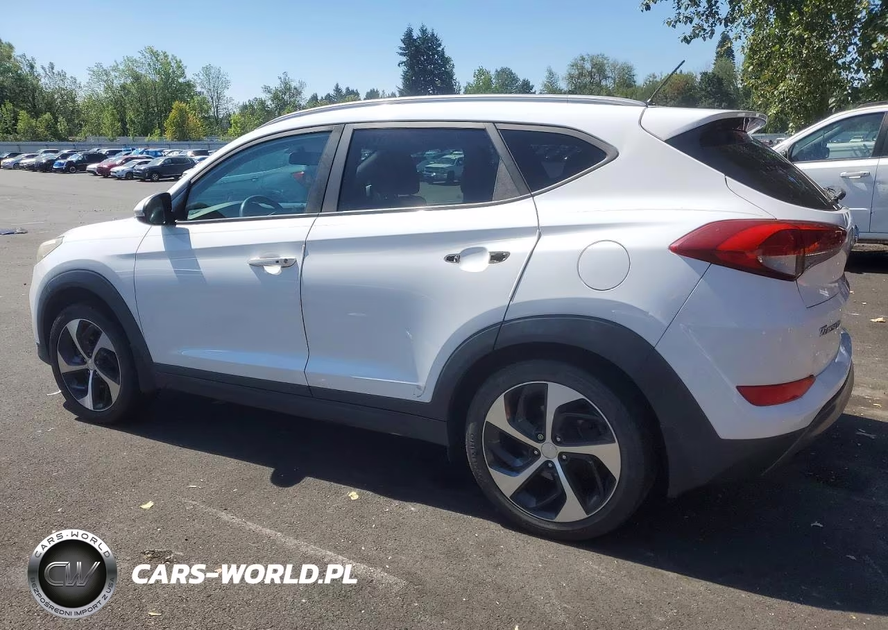 2016 Hyundai Tucson Sport VIN:KM8J33A20GU162643 - 2