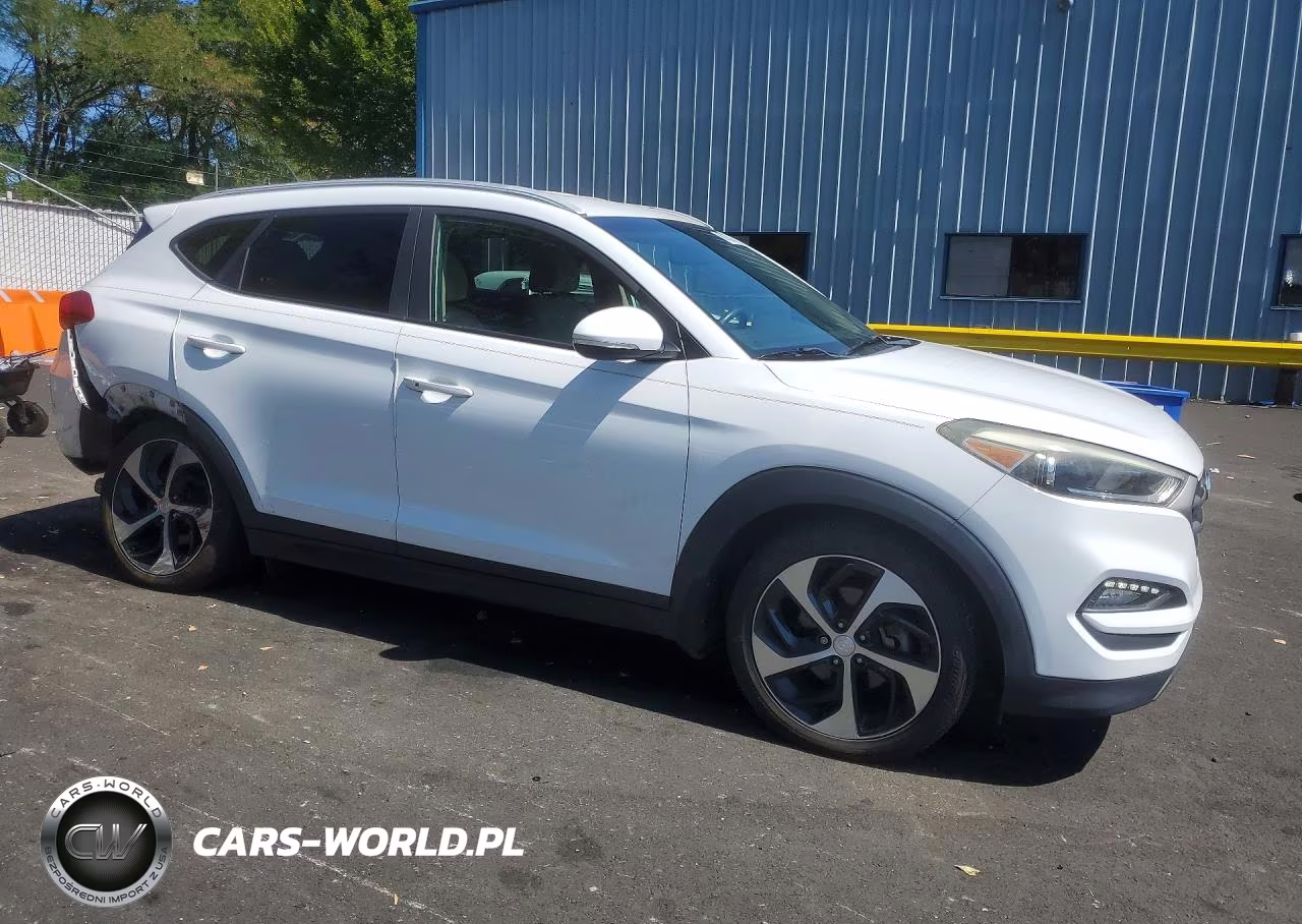 2016 Hyundai Tucson Sport VIN:KM8J33A20GU162643 - 4