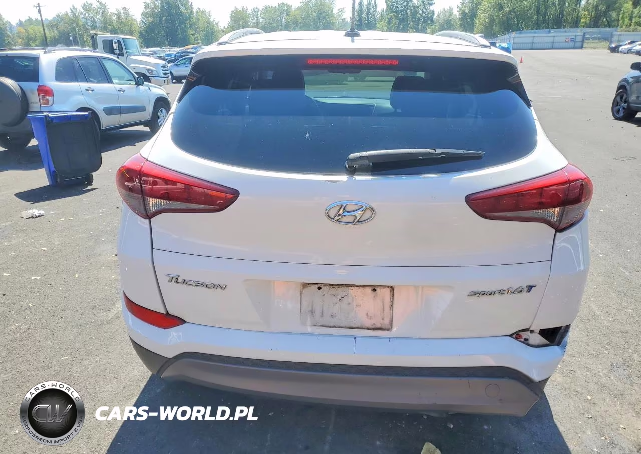 2016 Hyundai Tucson Sport VIN:KM8J33A20GU162643 - 6