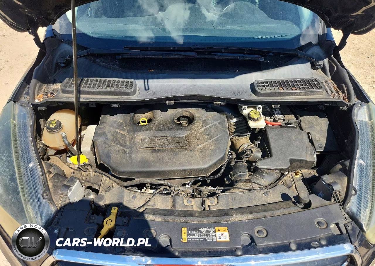 2017 Ford Escape Se VIN:1FMCU0G91HUC71896 - 12
