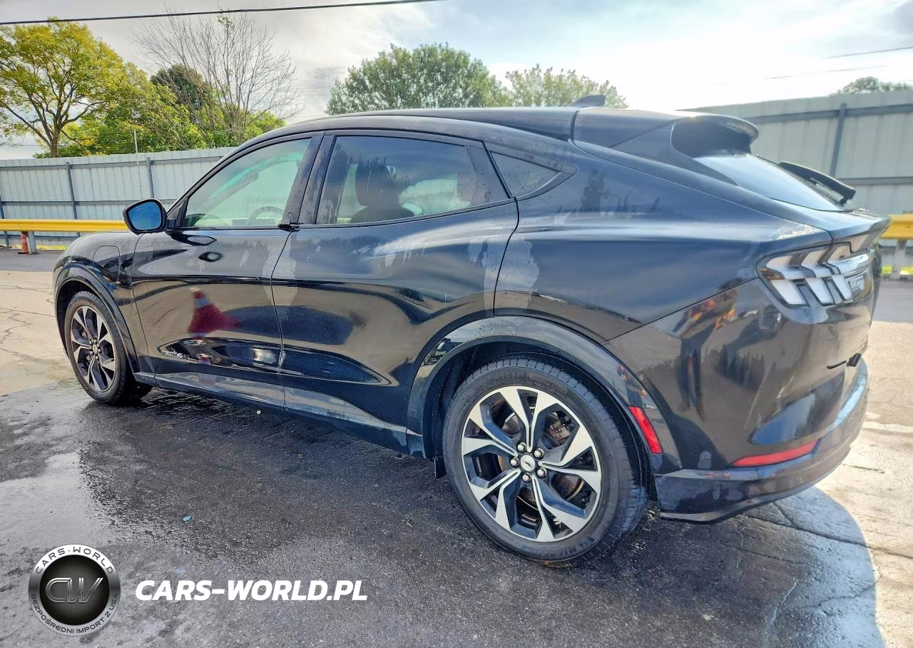 2022 Ford Mustang Mach-E Premium VIN:3FMTK3SU8NMA11448 - 2