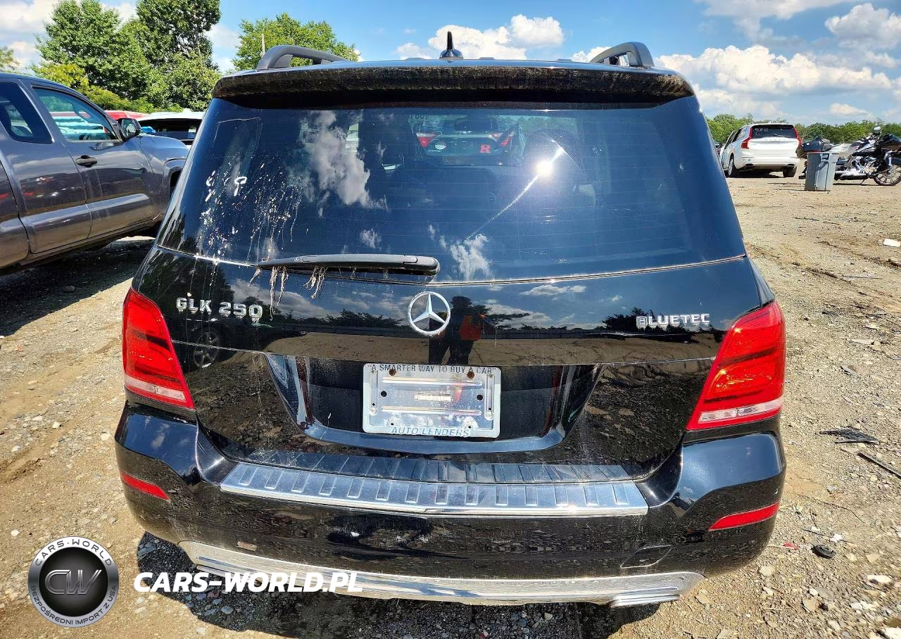 2015 Mercedes-Benz Glk 250 Bluetec VIN:WDCGG0EB4FG371001 - 6
