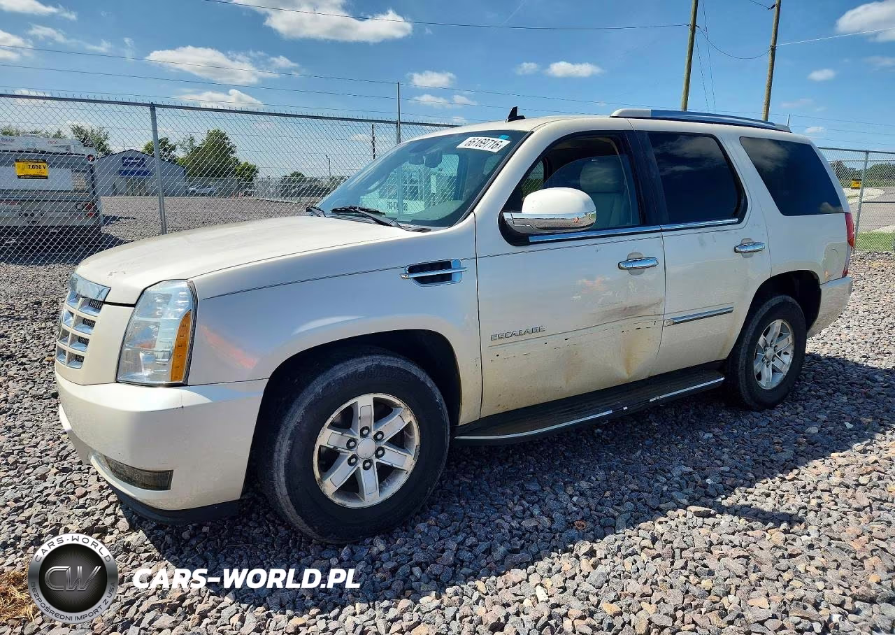 2010 Cadillac Escalade Luxury