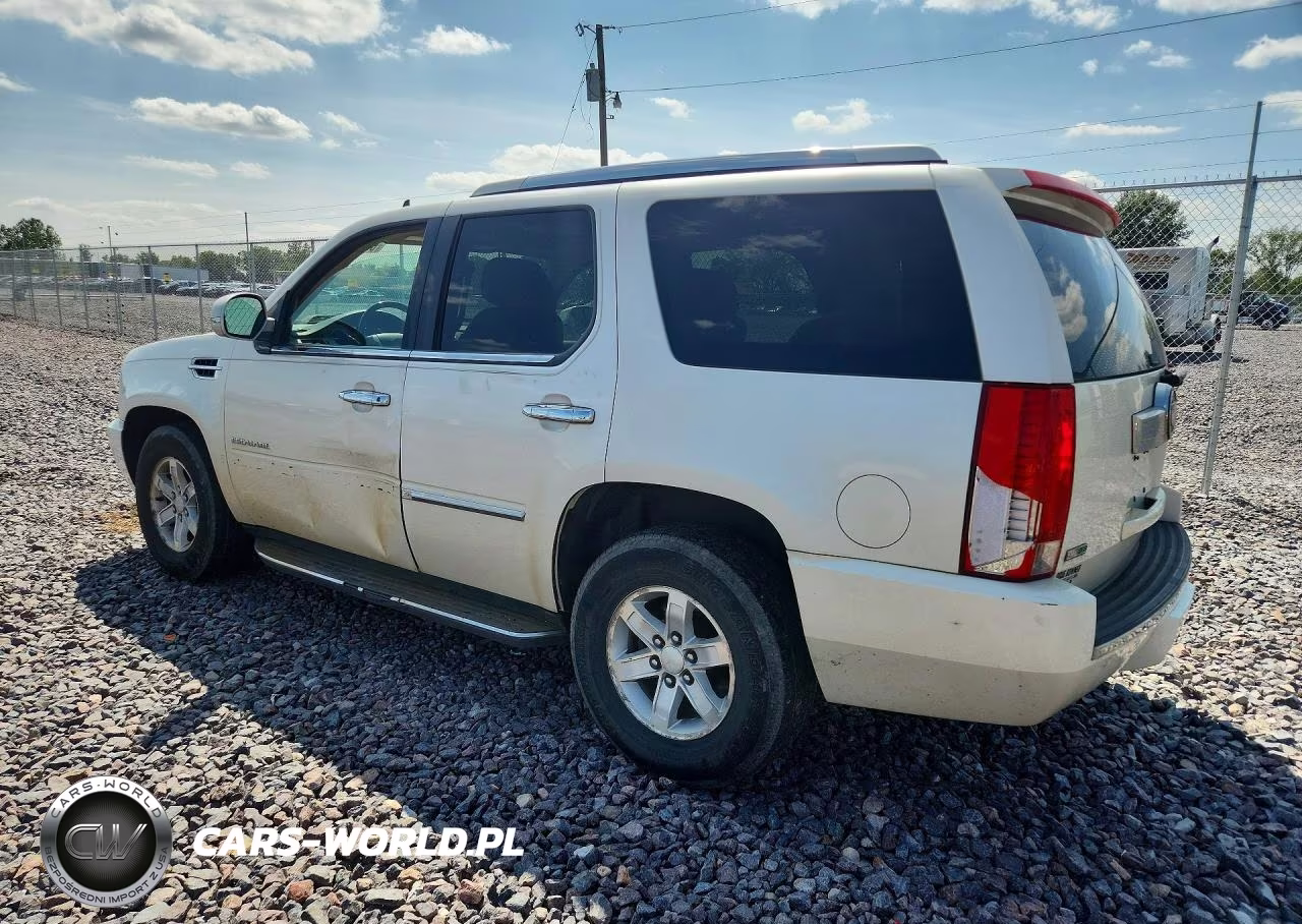 2010 Cadillac Escalade Luxury VIN:1GYUKBEF7AR212177 - 2